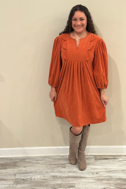 Jaedyn Fall Dress with pockets